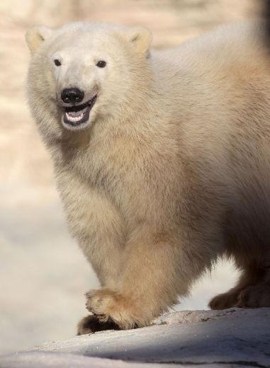 arcticready's tweet photo. WHAT ARE YOU SMILING AT?!?!?! http://t.co/8uv95oNOuO