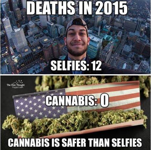 Intl_Highlife's tweet photo. Cannabis is safer than selfies http://t.co/ZFxqJW5fUR
