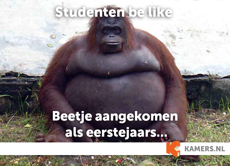 kamers's tweet photo. Tag iemand die slank begon met studeren... #studie #studententijd #bier #studenten http://t.co/VPwd00OKgd