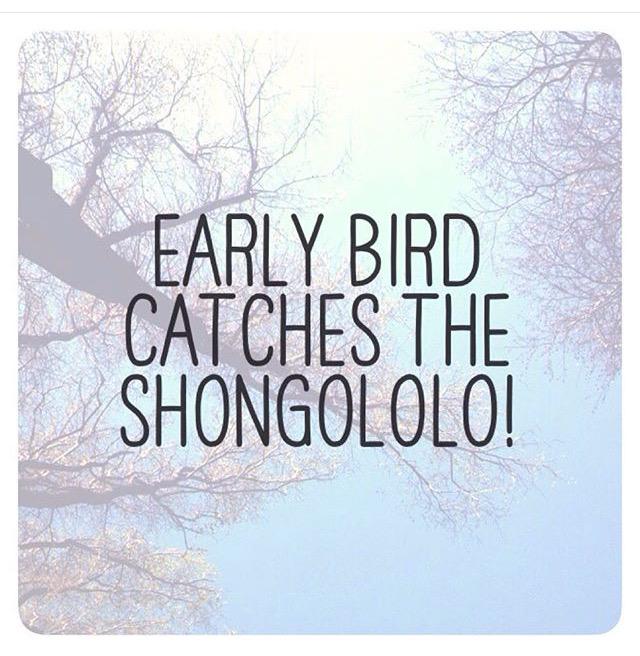 SANTISHAH's tweet image. #SAvibes  #AfricaVibes 🐛🐛