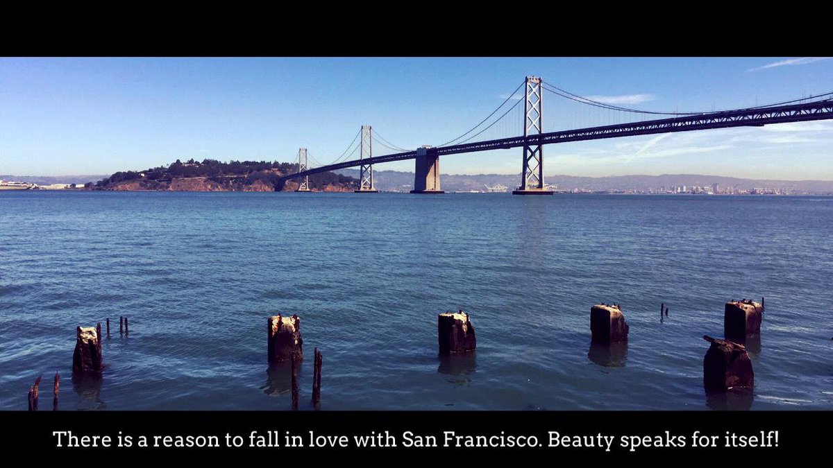 theScriptAPP's tweet image. 