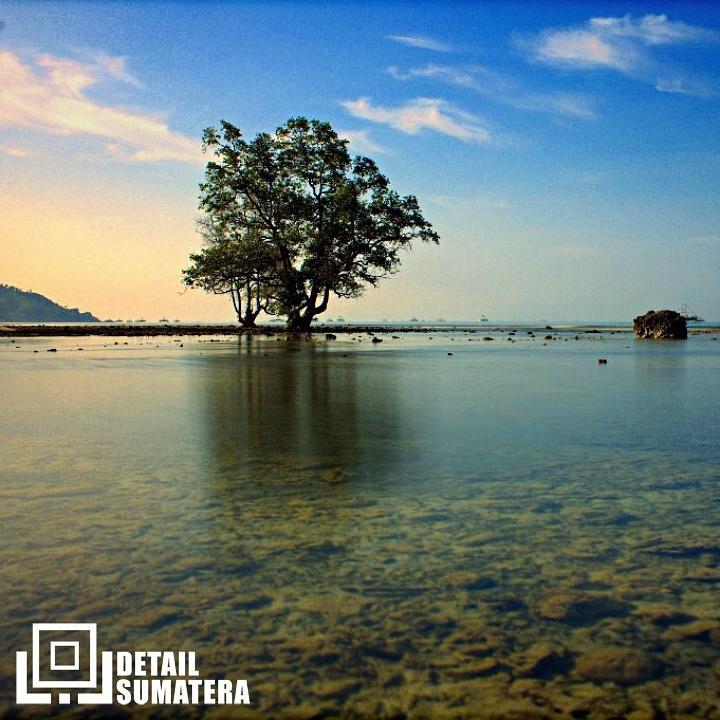 Pantai Tanjung Selaki