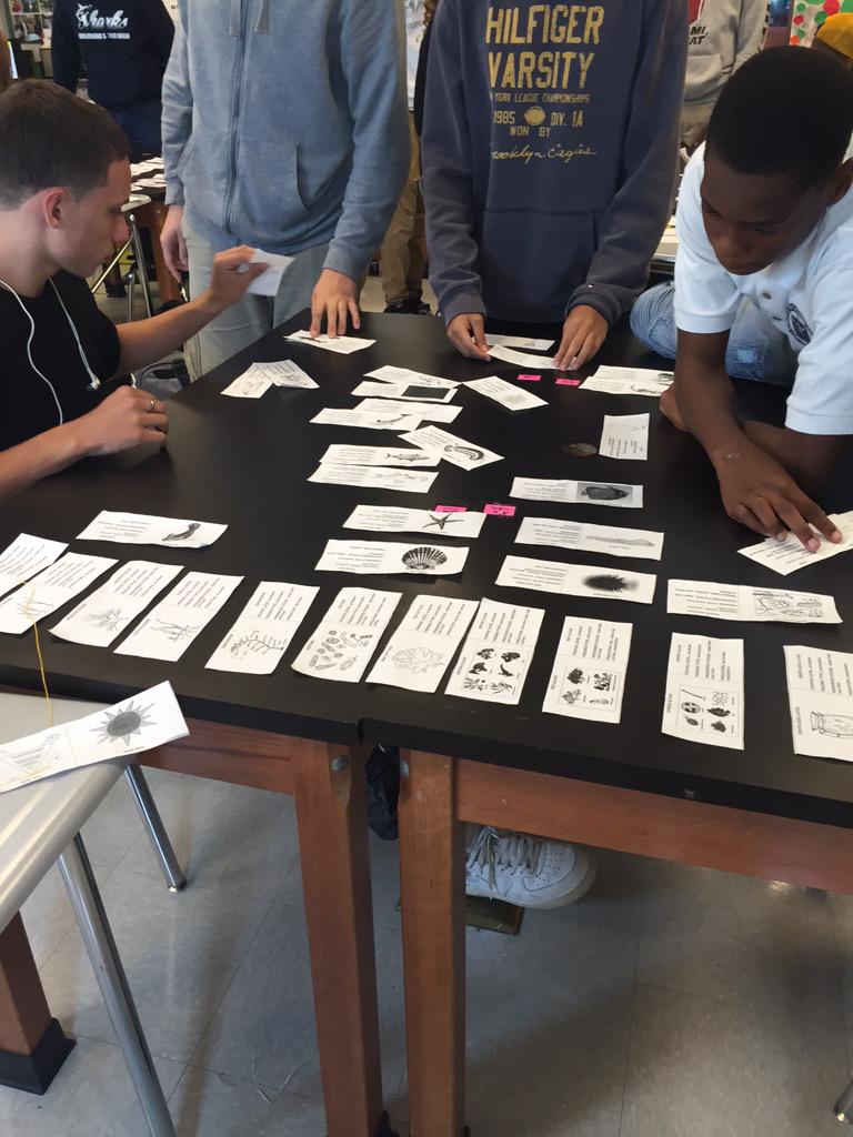 clayton_biology's tweet photo. The only way to tackle this food web is with all #handson deck! They thought this food web would be easy #VeraBio http://t.co/fanpxFftlC
