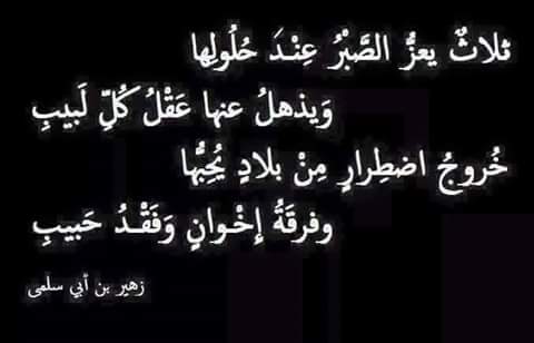 الحوت tweet media