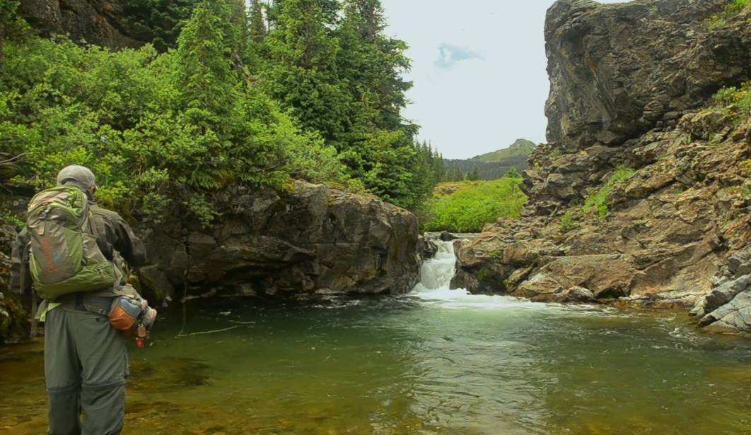 TroutUnlimited's tweet photo. Great new video from our pals at @WNativeTrout http://t.co/8j2sbWtsao #FlyFishing #Trout http://t.co/6vHeHSN3eu