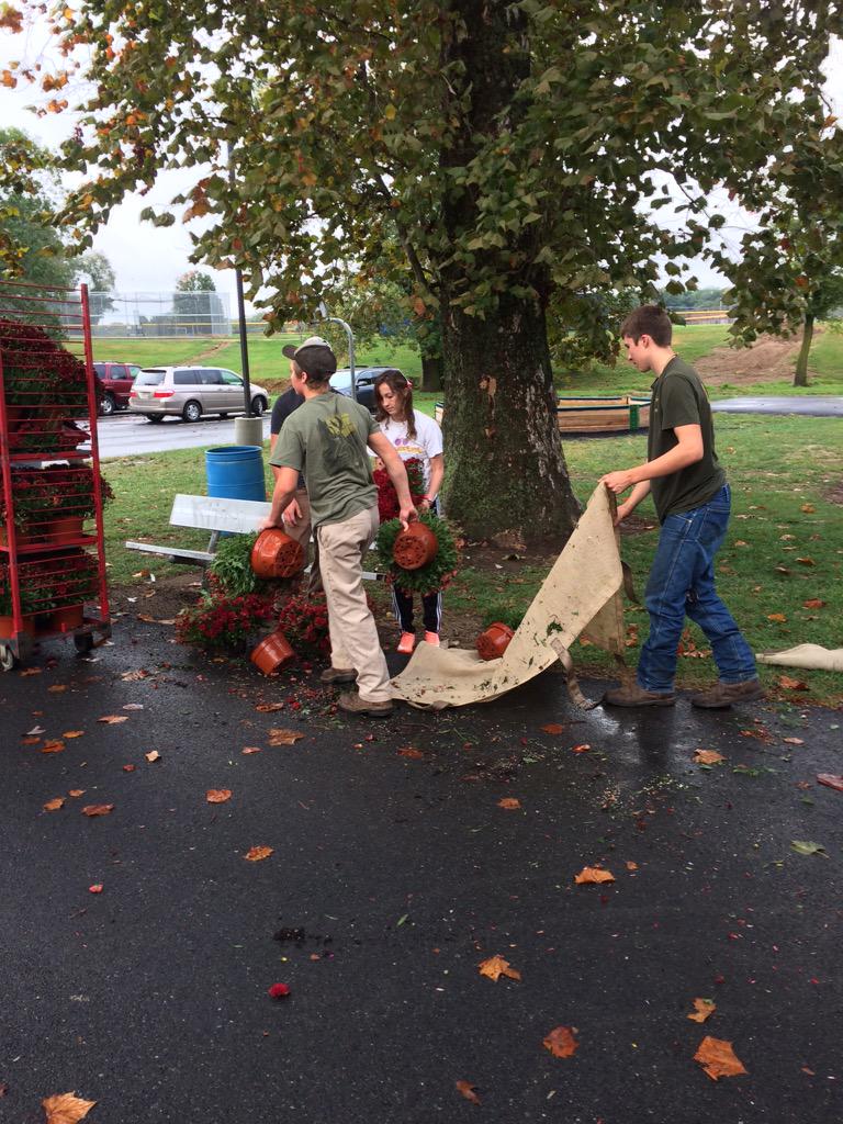 Deanna Miller tweet media