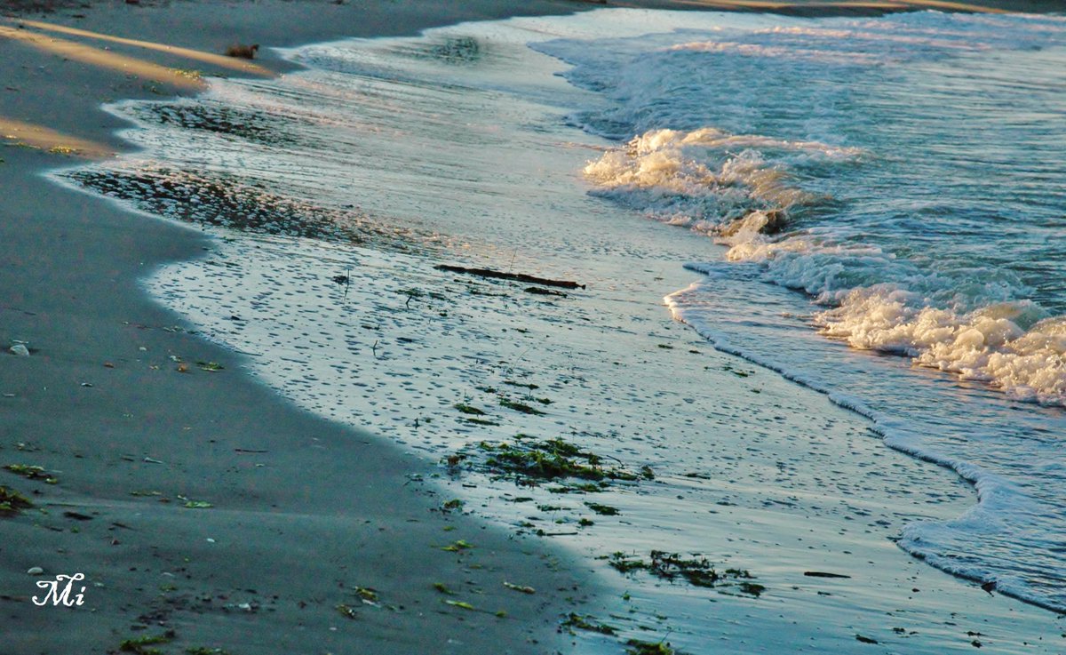 Pakina90's tweet image. " E avere la pazienza delle onde di andare e venire, ricominciare a fluire"  #cupramarittima facebook.com/Mikaela-PH-144…