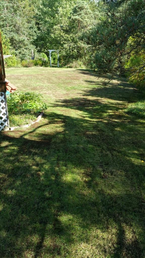 york_south's tweet photo. Slit Seed your lawn this fall with us and earn Aeroplan Points! #lawncareGTA #yorkregionlawns #slitseeding #nutrilawn http://t.co/6okDw8tdP4