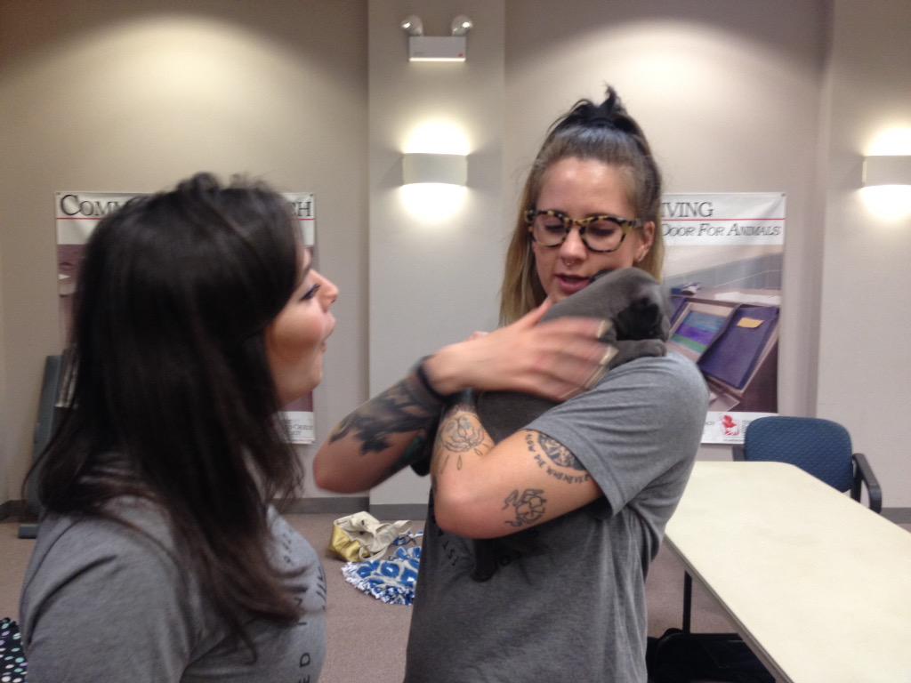 suzannecroke's tweet photo. @VML #WeAreVML Foundation Day "Hippo" Puppy Loooooooove 😍 http://t.co/ic4YRSYa1f