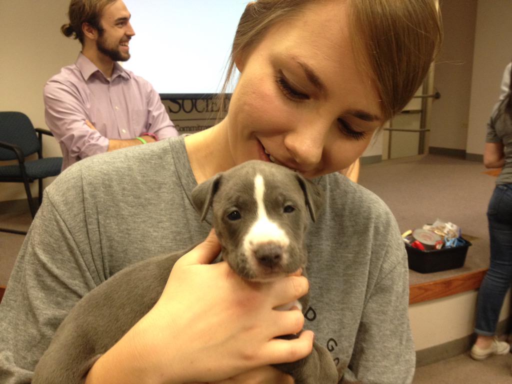 suzannecroke's tweet photo. @VML #WeAreVML Foundation Day "Hippo" Puppy Loooooooove 😍 http://t.co/ic4YRSYa1f