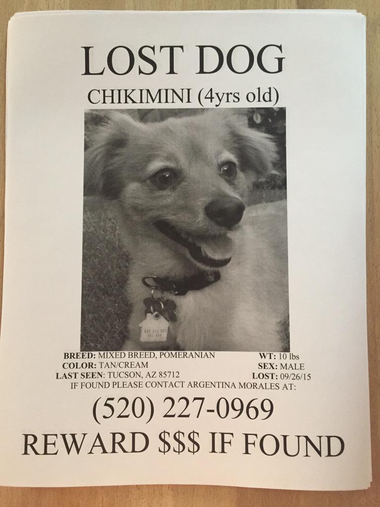 arg_morales's tweet photo. @whatsuptucson 
LOST DOG Chikimini
Missing since 9/26/15
Around Swan&amp;Fort Lowell 85712
REWARD if foundcall 5202270969 http://t.co/Tgmvvt2JnY