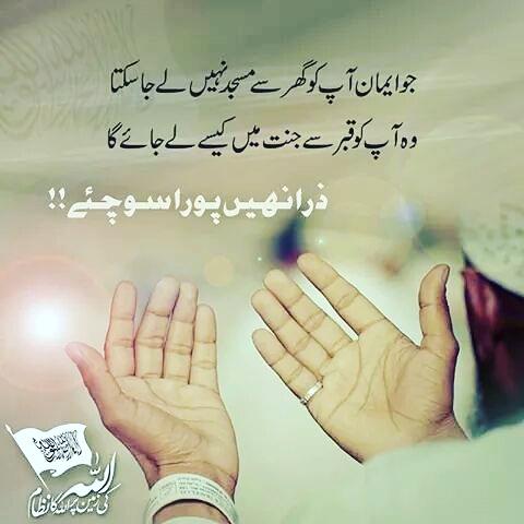 Shbogee's tweet image. 