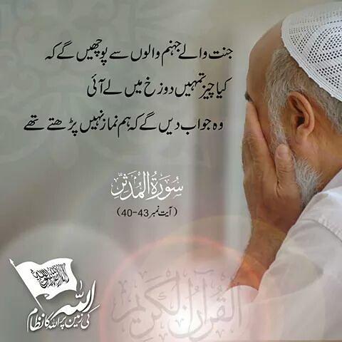 Shbogee's tweet image. 