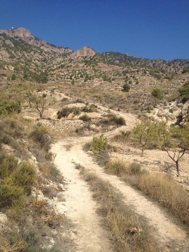 CandyfromSpain's tweet image. 