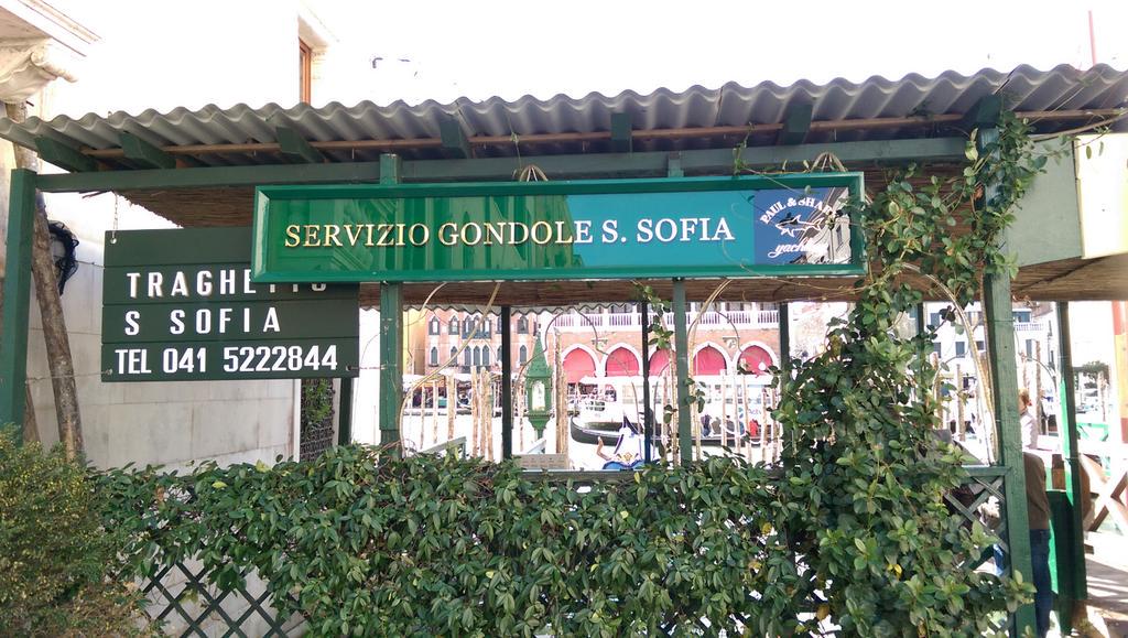 marcomonge's tweet image. 