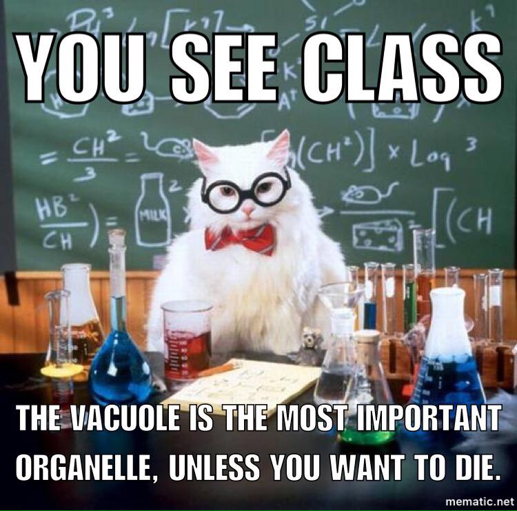 InTheVacuhole's tweet photo. http://t.co/bC7sjr35xP