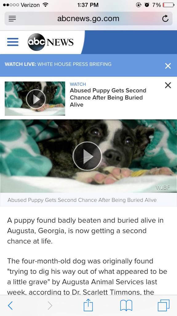 #StopAnimalCruelty #spreadtheword #loveouranimals #dogs #are #people #too