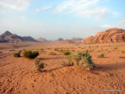 xoxmxox1's tweet photo. حفظة قلبك يوم قلبك مكاني 
أبيه فوق بكل حاجه ماهو تحت

صحيح أحبك لكن أرحل عشاني 
شينه أشوفك من عيوني اليا طحت http://t.co/0TnFsPjtDC