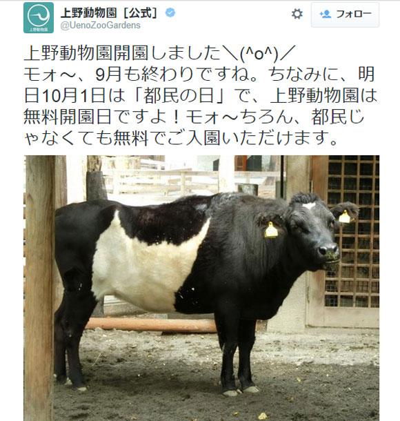 livedoornews's tweet image. 【よっしゃ】きょう10月1日は「都民の日」 21の動物館や美術館が入場無料！
news.livedoor.com/article/detail…

上野動物園や葛西臨海水族園など。なんと都民じゃなくても無料らしい。お出かけの際は要チェックです！