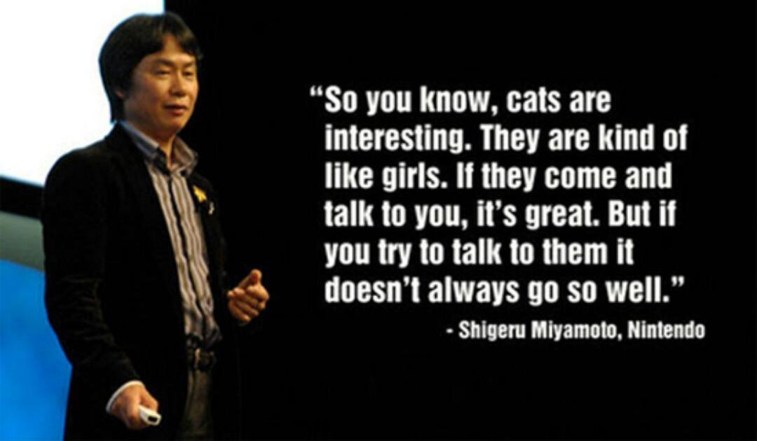 Favorite (fake) Miyamoto Quotes