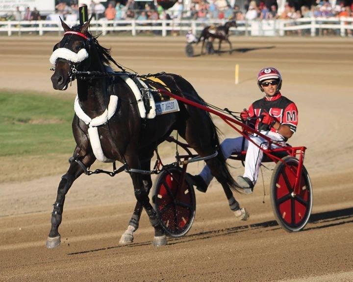 eedoogie's tweet photo. Correction!! The rebroadcast of the Little Brown Jug on @CBSSportsNet will now be Sunday Oct 4 at 7am! #Jug15 #LBJ15 http://t.co/oS2KZVs9Cq