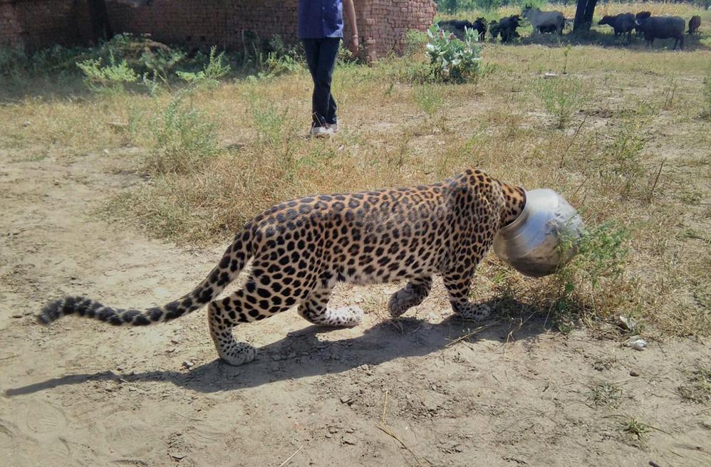 noticias24's tweet photo. Estas son las fotos más destacadas que nos dejó este miércoles - http://t.co/hUldaqsYlN http://t.co/CPlDazFqyJ