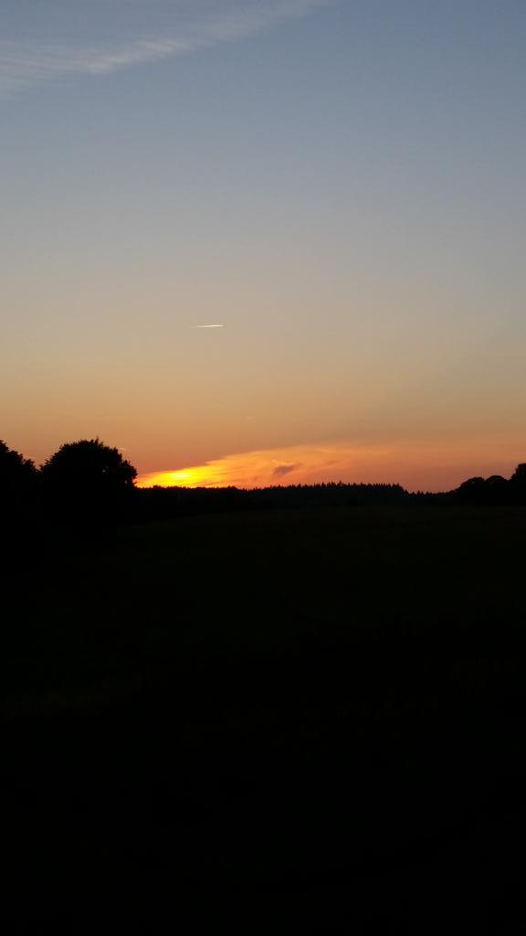 soffiereable's tweet photo. 1 of nature's beauties 🌄
#EfteråRiForstaden #FallInTheSuburbs http://t.co/pz2ytZQDV7