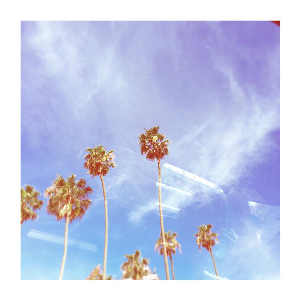 rileymcdonough's tweet photo. What a lovely day in California http://t.co/njXAVbSNfi