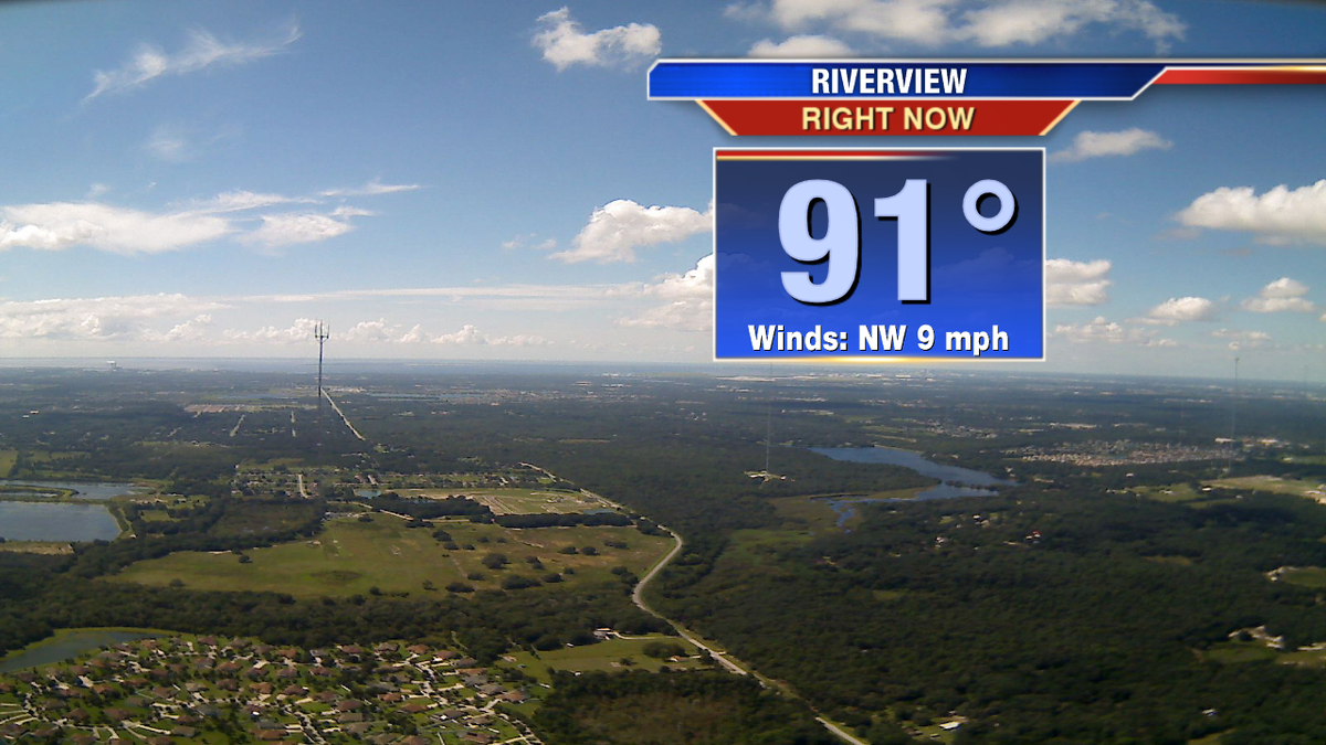 PaulFox13's tweet photo. #Autumnfail #Florida http://t.co/G012cbt20R