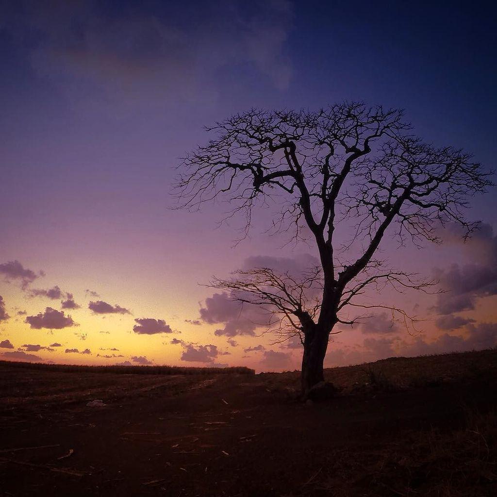 antocadei's tweet photo. sunset in the countryside
#instaAW #earthdefenders #mauritius #mauritiusisland #maurice #i… http://t.co/PZ4ynzPqxj http://t.co/YxgUXCdnXx