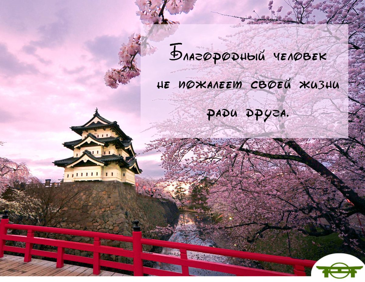 planetasushi_ru's tweet photo. Всегда оставайтесь верны своим друзьям.
#ПланетаСуши ждет вас!
#Япония #мудро http://t.co/Tmuygc0X3y