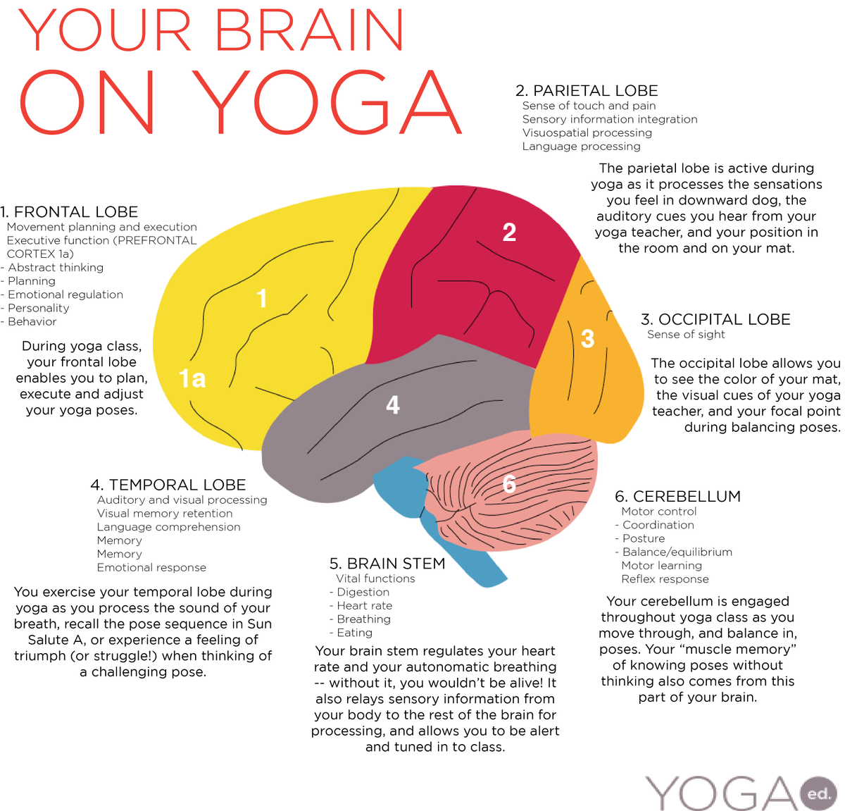 best yoga exercises for brain