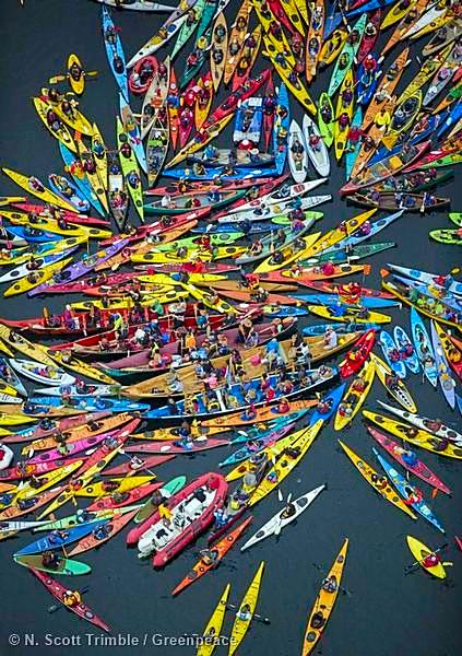 Greenpeace International tweet media