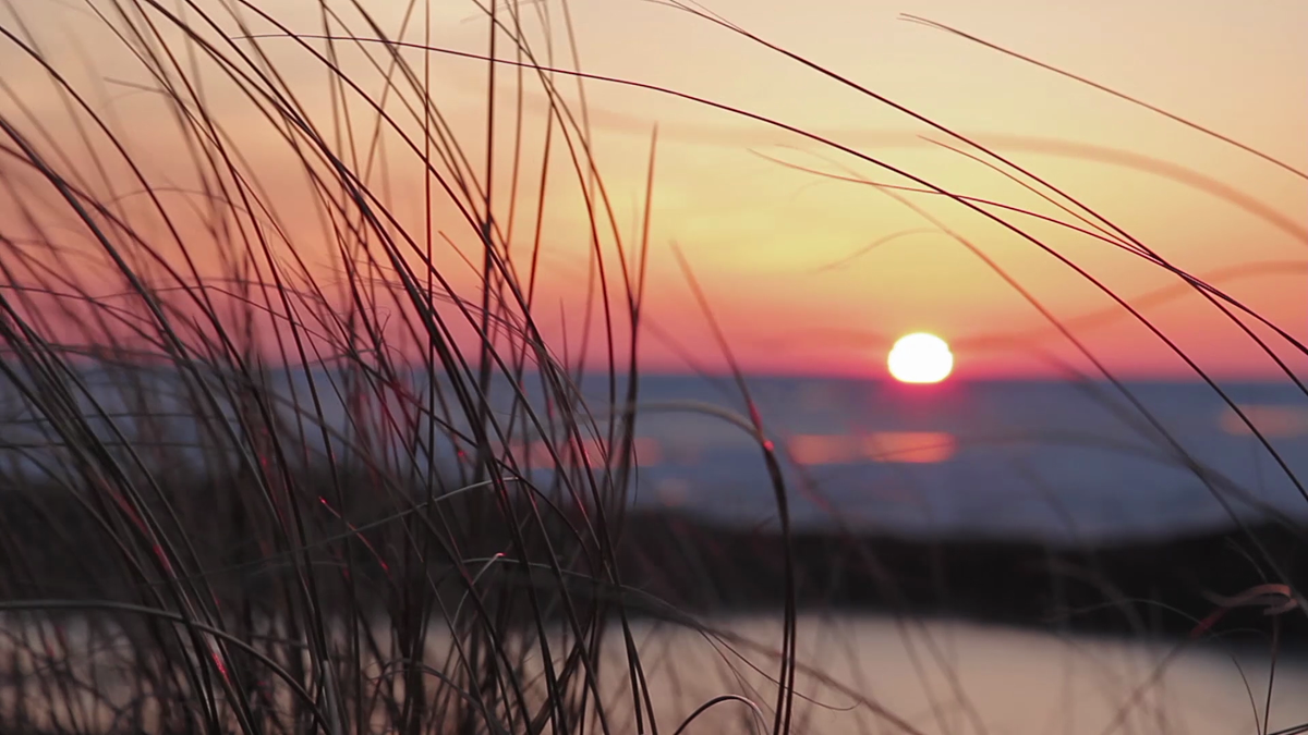 NatureCastApp's tweet image. Have you checked out @RyanBlaske Dunes video? Relax to the dunes grass gently blowing in the breeze.