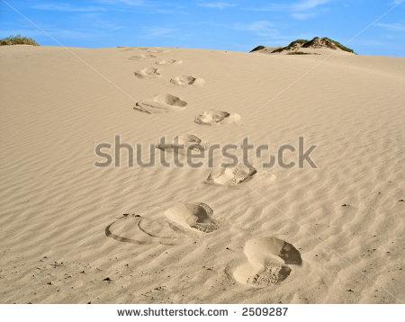 Stock Photo “Desert Footprints”. Buy at Shutterstock. shutterstock.com/image-photo/fo…
#desert #sand #footprints