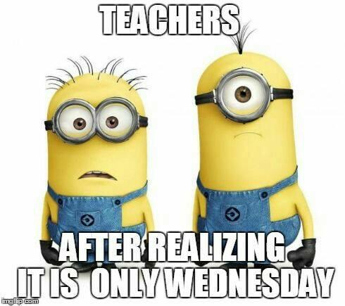 physicsed2015's tweet image. #teachers be like #omgg it&apos;s only #Wednesday by goodness #LifesBigUnansweredQuestions