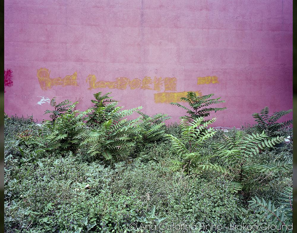 WorldPhotoOrg's tweet photo. "Start something yourself." @theprintspace talks to @MaxFerguson_ of @SplashAndGrab: http://t.co/UtT7Ub7bwX http://t.co/OgD0ZtL4zK