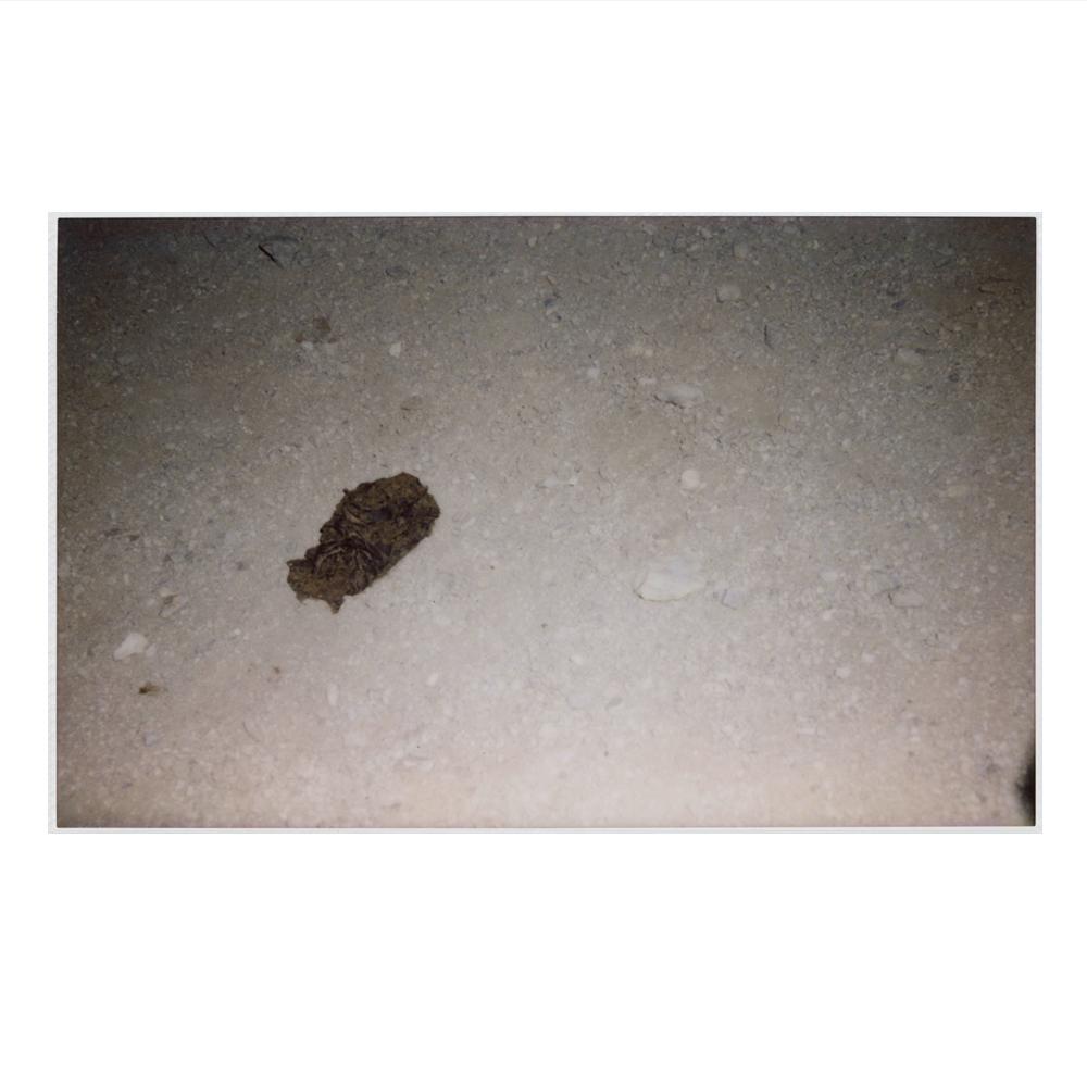 Outsider_Books's tweet photo. "Hawkeye has a unique and captivating perspective"--@rollingstone. Photo by @hawkeyehuey, age 5. #HawkeyeHueyBook http://t.co/R6HGuDJZMP