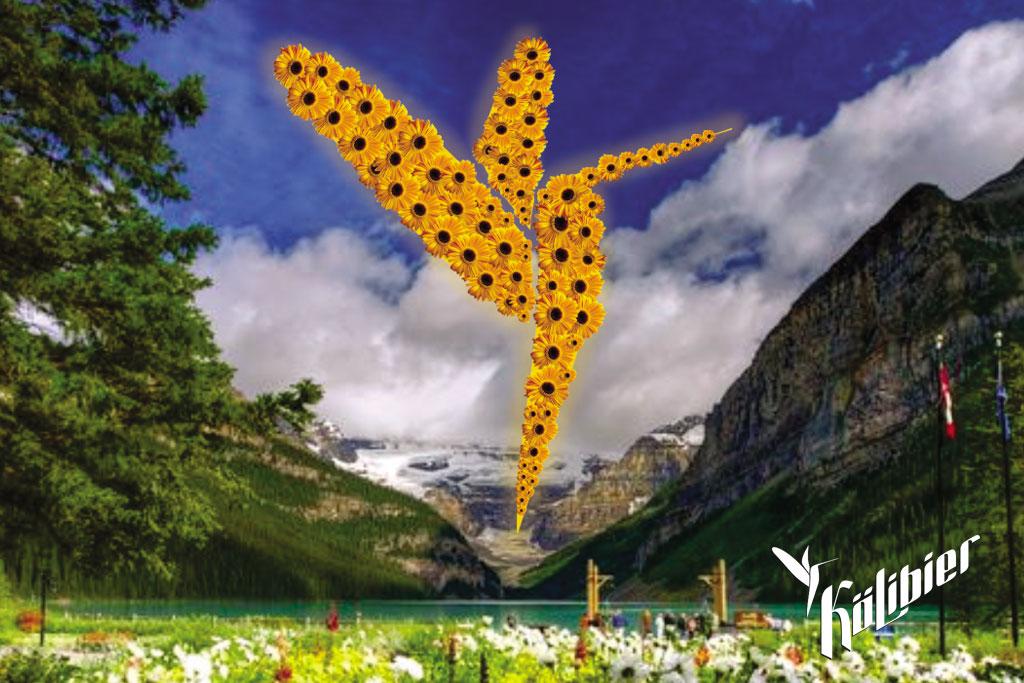 Kolibier's tweet photo. Feliz dia de la Kölibera http://t.co/pVibKz80be