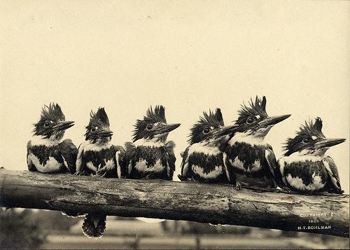 The Marginalian (formerly Brain Pickings) tweet media