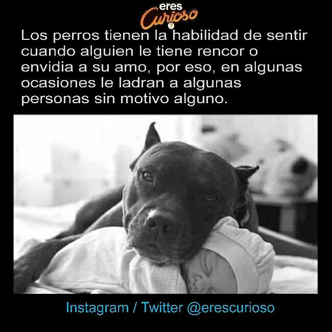 #Curiosidades