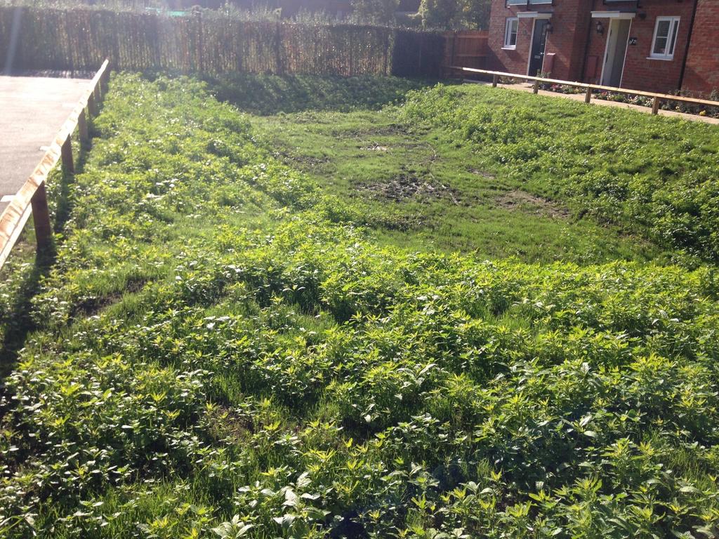 trogsrus2's tweet photo. Please Re tweet! @bloorhomes #Bogofdoom #bloorhomes #badpreperation #needstobesorted http://t.co/iEqkArTBTr