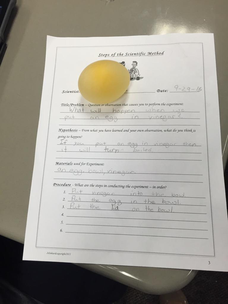 MrsHartley_MES's tweet image. Fun using the Scientific Method with your &quot;eggspirement&quot; 😜🍳🐣🐥🐤#sciencerules #bouncyegg #mespiratepower