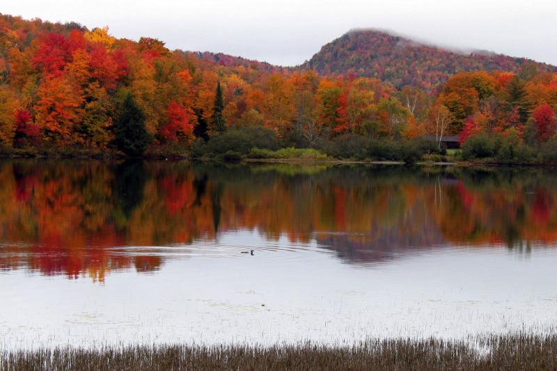 thehut_com's tweet photo. A trip to Vermont is on our wishlist #scenerygoals Where would you go this autumn if you could? #WishlistWednesday http://t.co/aAOHx1m7Yx