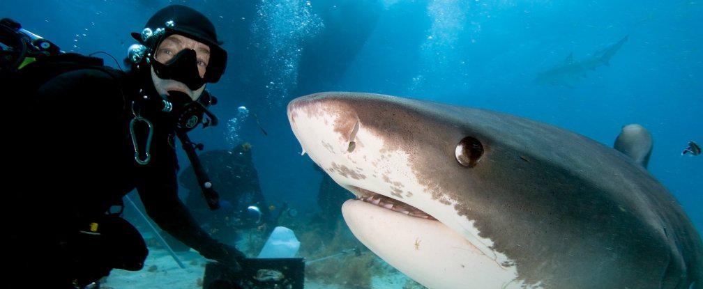 Greenpeace's tweet photo. This year more people were killed by selfies than by #sharks https://t.co/eX2wc4HyWQ https://t.co/ttICRbffpk