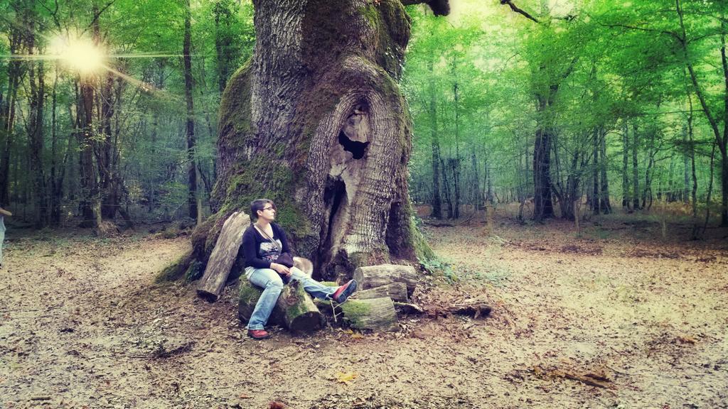 remirem2's tweet photo. Le gardien de la forêt #verneuilsurigneraie #berryprovince #indre #regioncentre #photooftheday #photography #tree http://t.co/Fos3R7eZA5