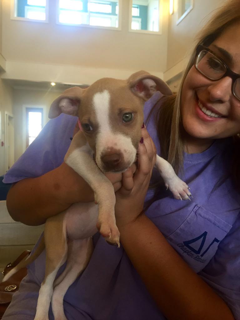 CollectiveOU's tweet photo. We love our furry residents. Bring your pup by the clubhouse today to get a treat! #DogsOfAspen #CatsWelcomeToo http://t.co/noAD6eRYR4