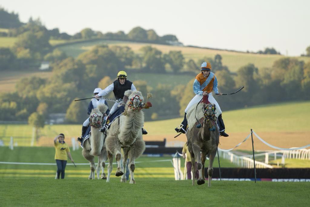 👍 day at Chepstow, proud to win the Paul's Place Camel Derby. There is still time to donate on my Justgiving page! 🐪💨