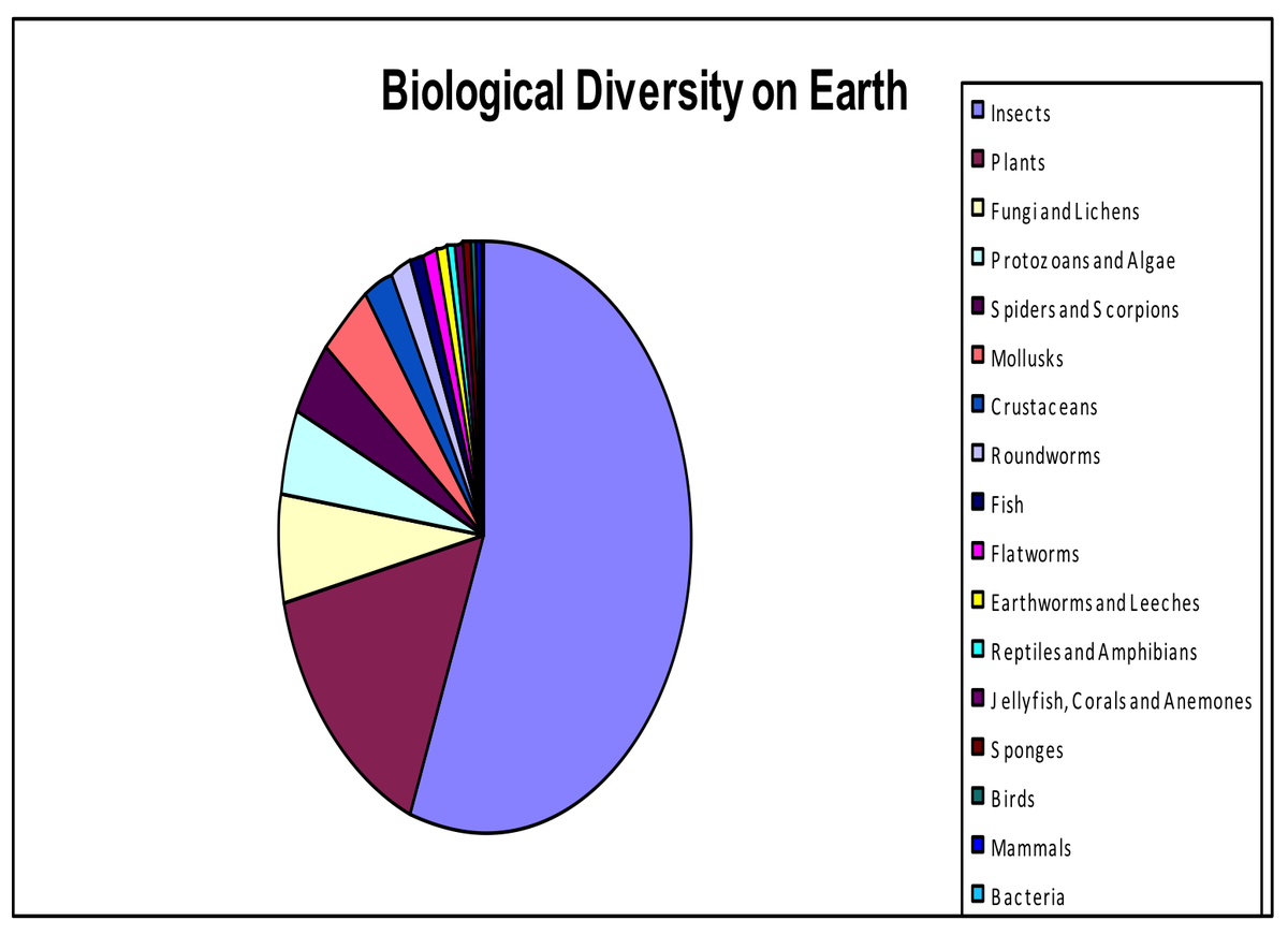 wolfymatic's tweet photo. There are over 40,000 species worldwide of beetles! #AlliSci9 This allows them to have many variations!!! http://t.co/6tloFCgjYI