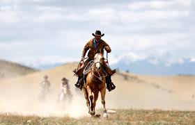 WesternWriter1 tweet picture